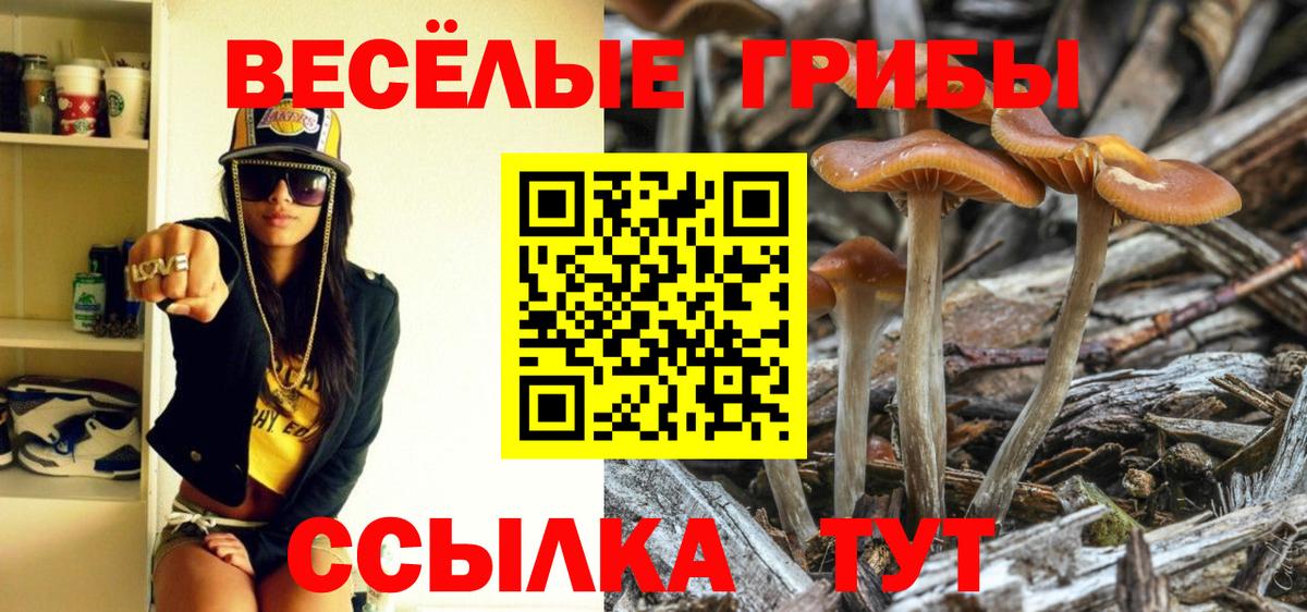 Псилоцибиновые грибы Magic Shrooms Новотроицк