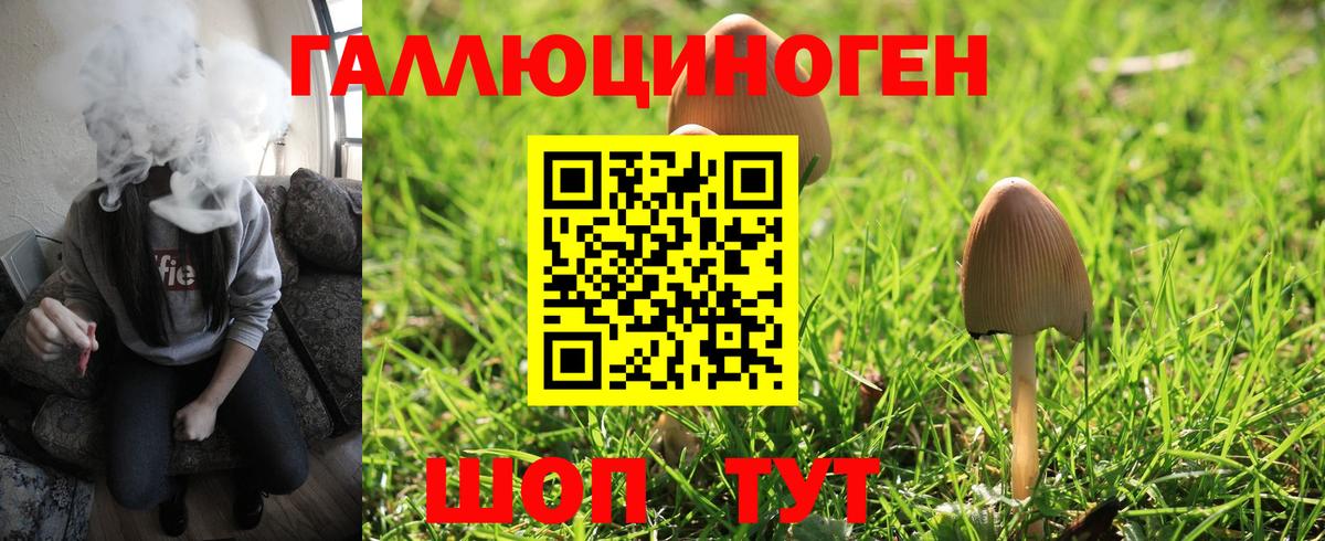 Псилоцибиновые грибы Psilocybe  Вход с VPN  Новотроицк 